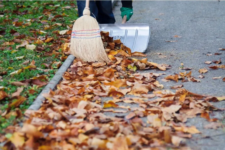 garden cleaning